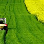 https://pixabay.com/photos/field-of-rapeseeds-tractor-spring-4910374/