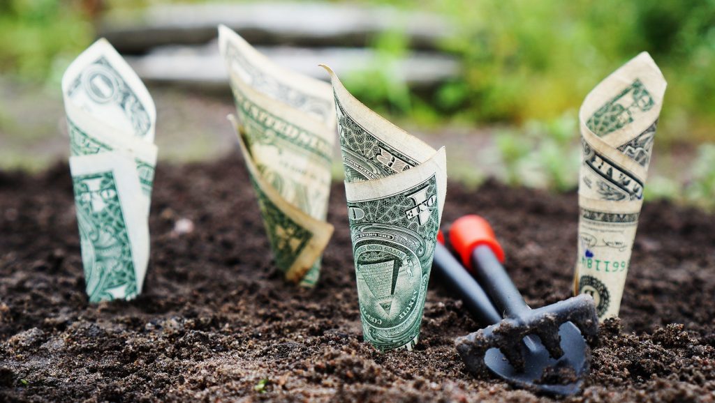 https://pixabay.com/photos/money-grow-interest-save-invest-1604921/