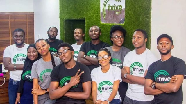 ThriveAgric strives to build the largest network of profitable African farmers using technology to ensure food security. Photo: Supplied/Ventureburn