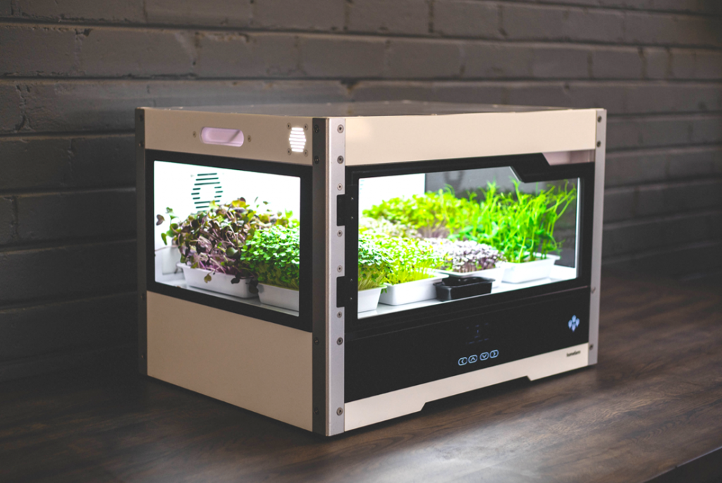 Initially addressing the needs of urban households in South Africa with the Homefarm appliance, the start-up has since expanded its reach and product range by offering indoor farming systems to businesses and consumers both in urban and peri-urban environments. Photo: Supplied/Ventureburn