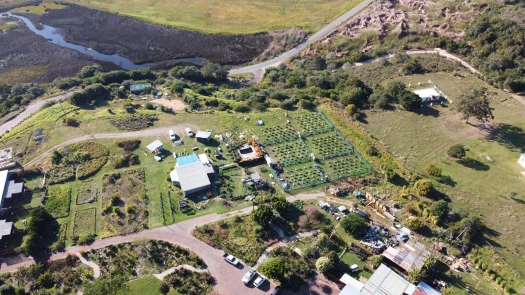 DankiPa Eco-Estate in Plettenberg Bay, Western Cape is home to a Cheeba cannabis and hemp training centre where aspiring entrepreneurs immerse themselves in comprehensive education and training for the thriving cannabis and hemp industry. Photo: Supplied
