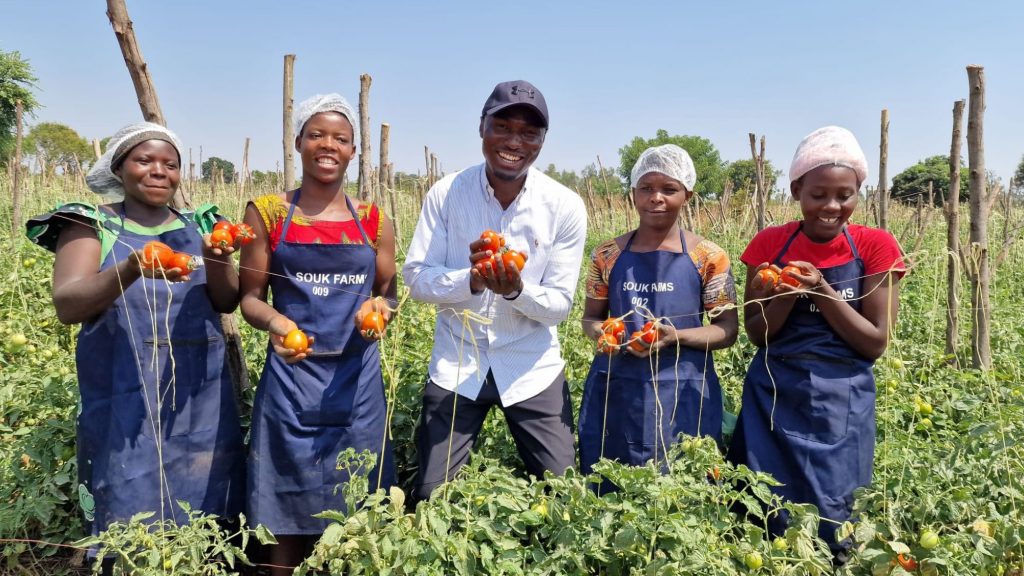SOUK Farms tends to vibrant rows of exotic horticultural produce, exemplifying Rwanda’s commitment to sustainability, innovation, and community upliftment. Photo: Supplied