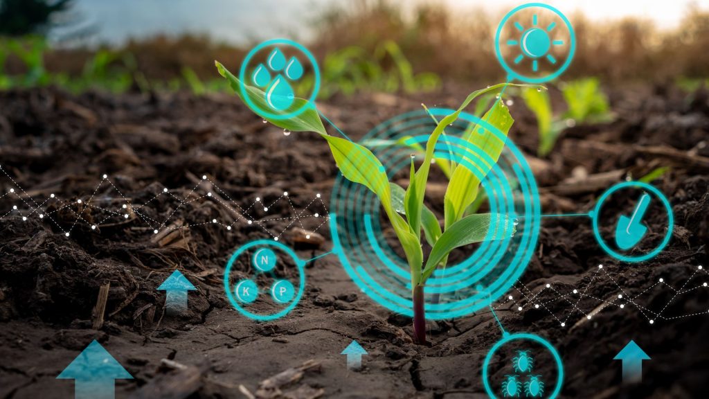 Explore the power of IoT as it weaves a network of innovation across farms, transforming agriculture into a data-driven landscape. Photo: Supplied
