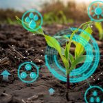 Explore the power of IoT as it weaves a network of innovation across farms, transforming agriculture into a data-driven landscape. Photo: Supplied